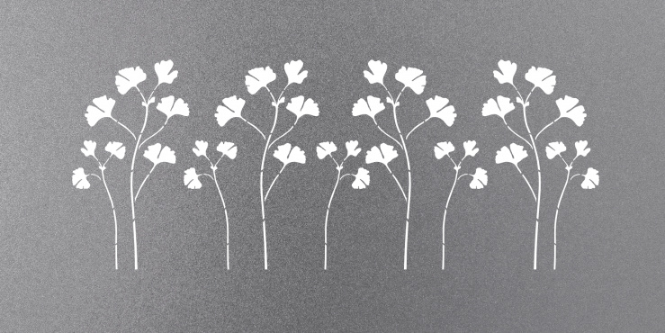 Laserski izrez Ginko